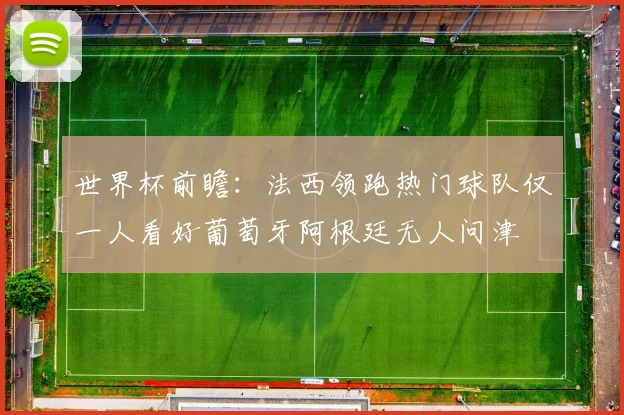 世界杯前瞻：法西领跑热门球队仅一人看好葡萄牙阿根廷无人问津